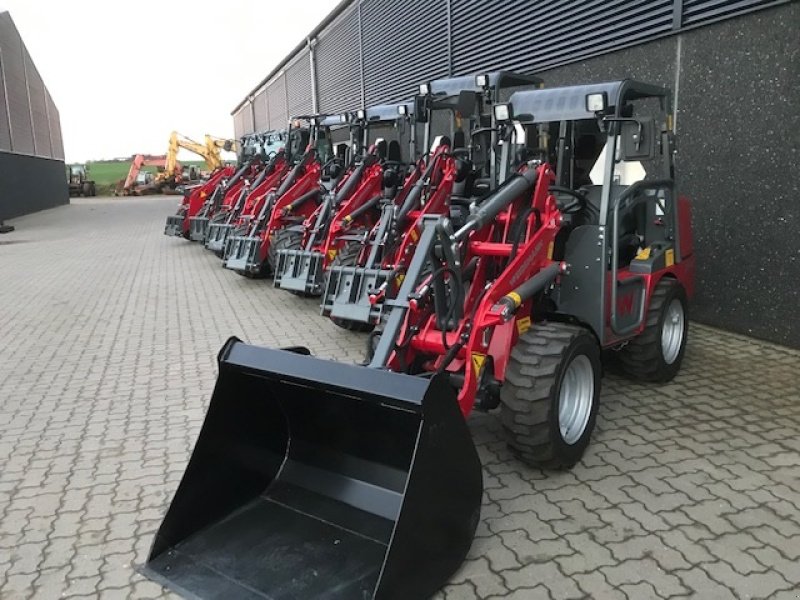 Kompaktlader of the type Weidemann  Alle modeller, Gebrauchtmaschine in Roslev (Picture 7)