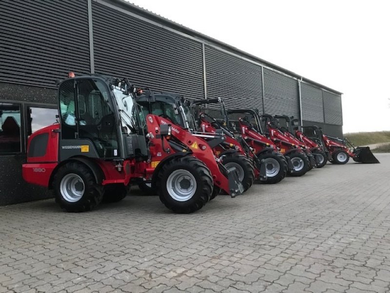 Kompaktlader of the type Weidemann  Alle modeller, Gebrauchtmaschine in Roslev (Picture 4)