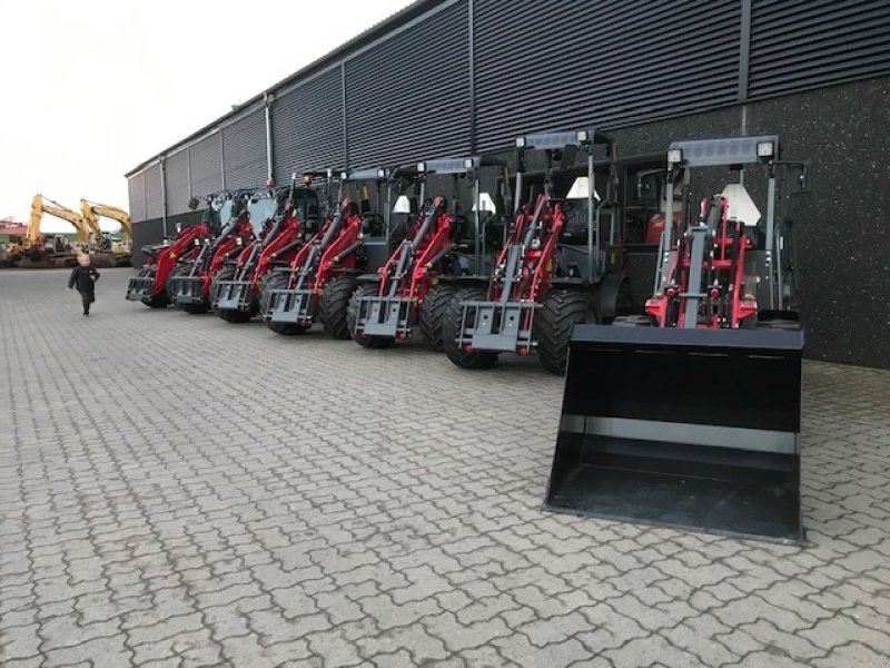 Kompaktlader of the type Weidemann  Alle modeller, Gebrauchtmaschine in Roslev (Picture 1)