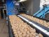 Kartoffellagerungstechnik του τύπου KMK Rollenverlesetisch, Verlesetisch, Verleseband Modell T, Neumaschine σε Ehekirchen (Φωτογραφία 23)