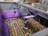 Kartoffellagerungstechnik του τύπου KMK Rollenverlesetisch, Verlesetisch, Verleseband Modell T, Neumaschine σε Ehekirchen (Φωτογραφία 29)