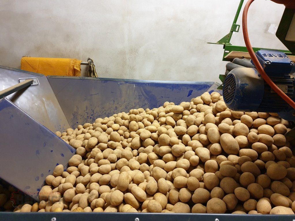 Sonstige Kartoffeltechnik des Typs KMK Rinnenwaage, Kombinationswaage, 4 Rinnen, Neumaschine in Ehekirchen (Bild 30)