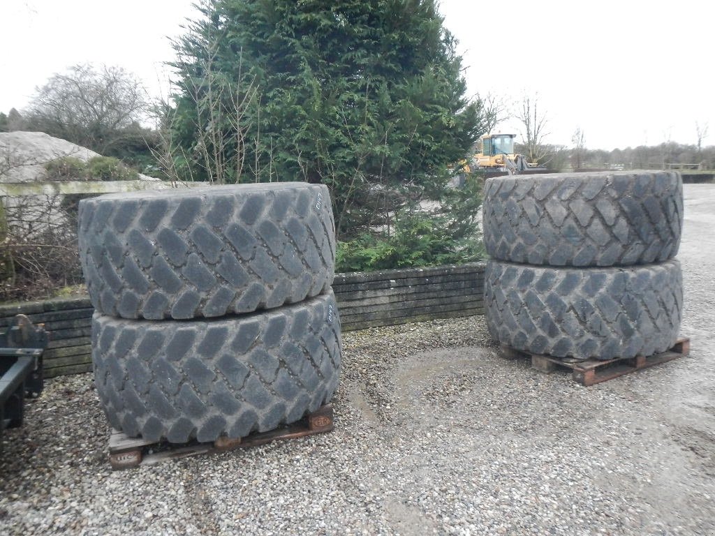 Felge typu Bridgestone 650/65R25 - D147, Gebrauchtmaschine v Aabenraa (Obrázek 1)