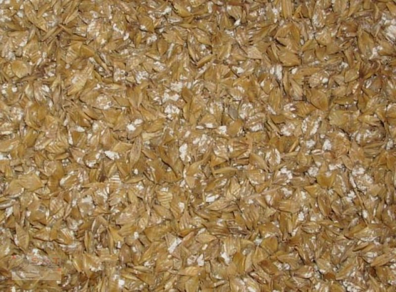 Sonstige Getreidelagertechnik του τύπου Sonstige GTH- Getreidequetsche-NEUMASCHINE, Neumaschine σε Eberschwang (Φωτογραφία 21)