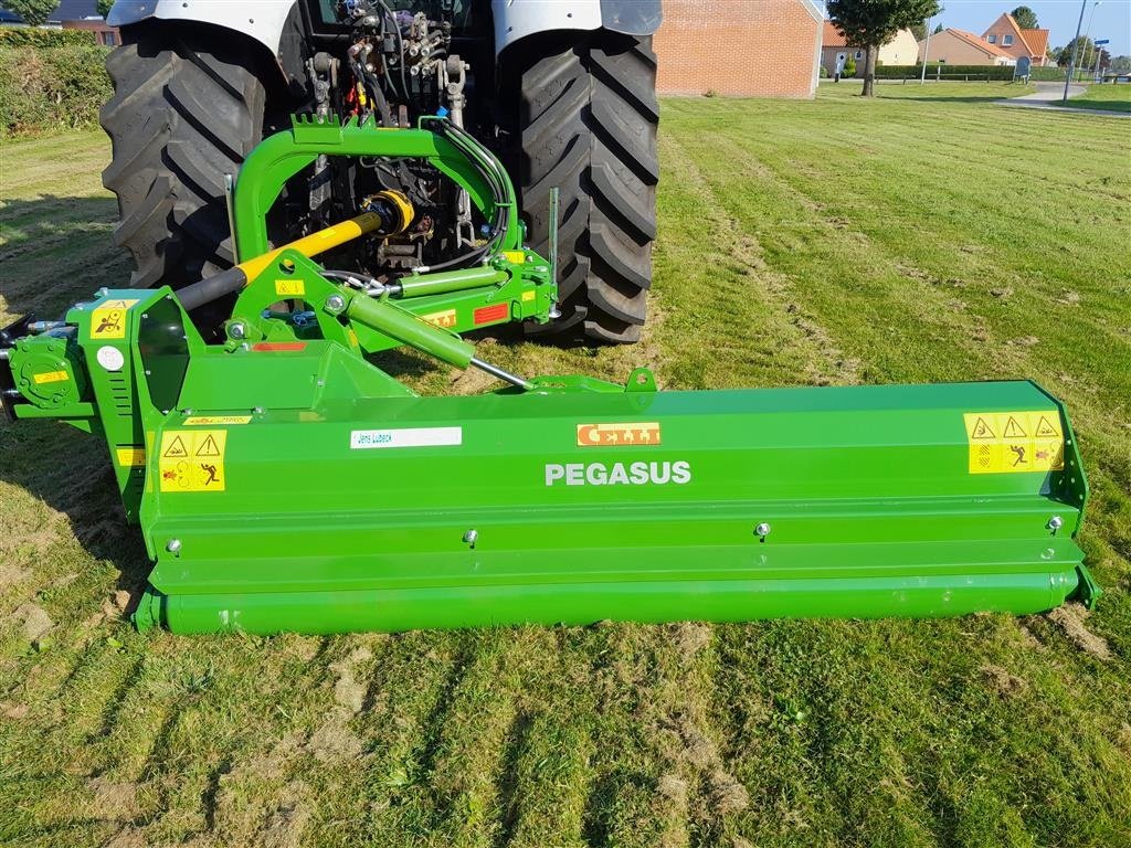 Sonstiges typu Celli Pegasus SE 250, Gebrauchtmaschine v Hadsund (Obrázek 2)