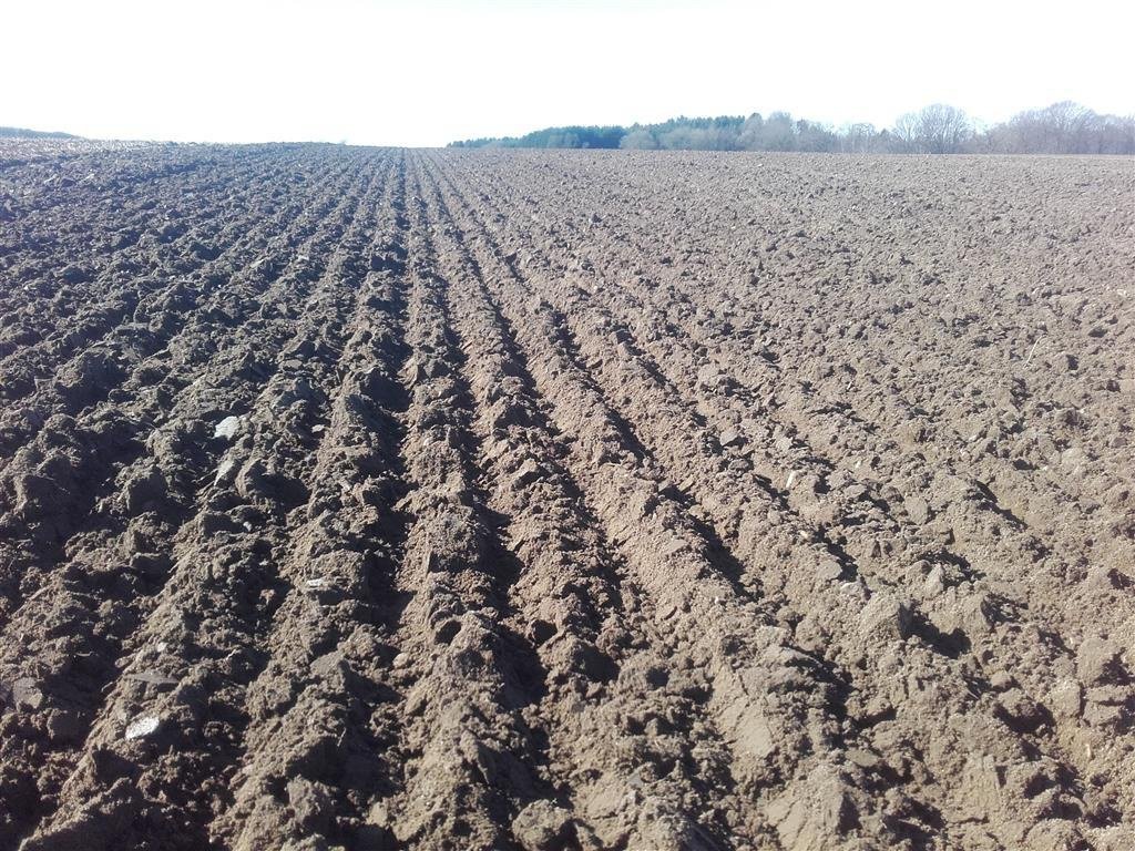 Pflug typu Unia Vario S 5 Plus Pakker, Gebrauchtmaschine v Hadsund (Obrázek 6)