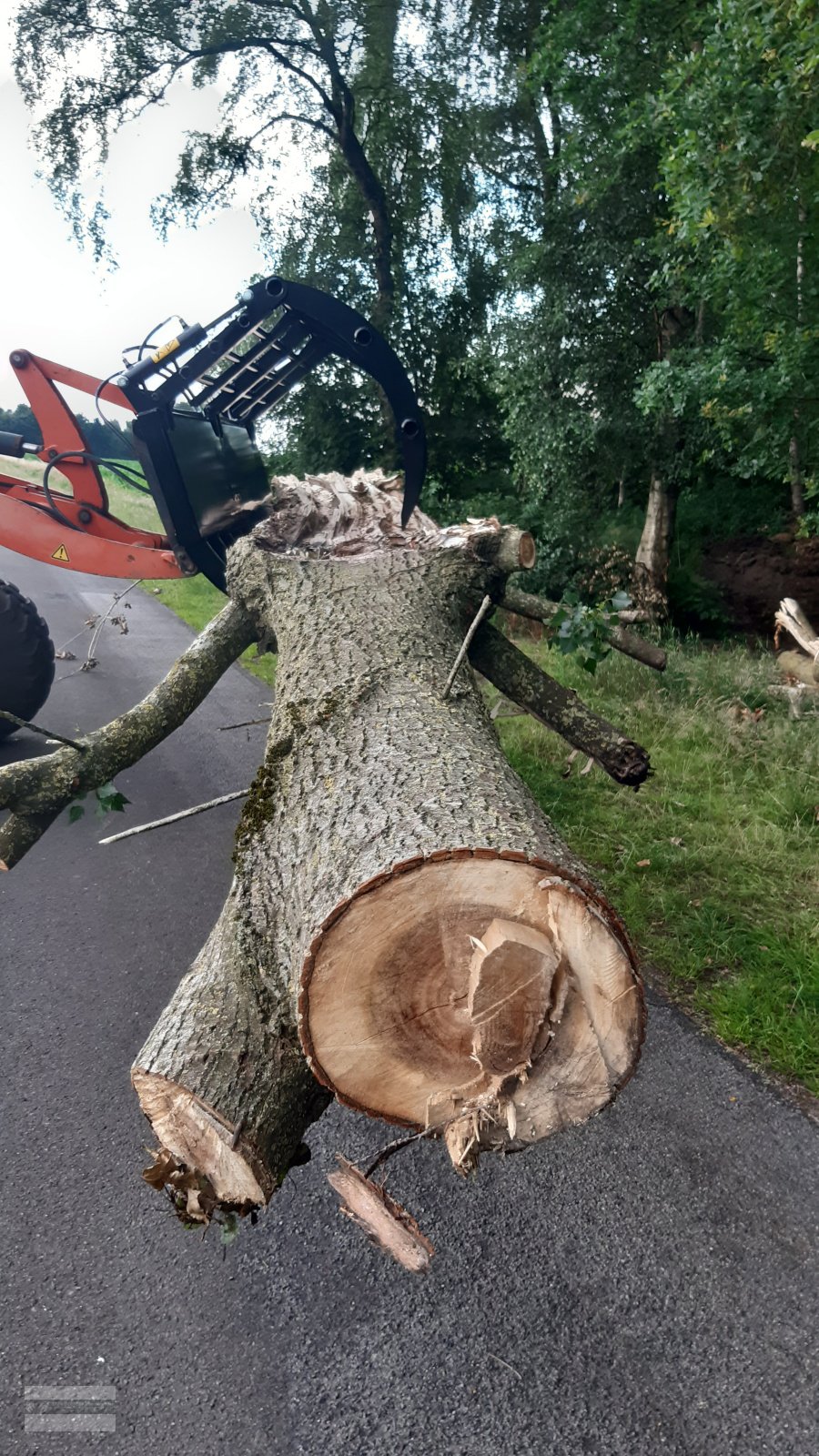 Sonstige Forsttechnik of the type Sonstige Reisiggabel Räumfix Reisigrechen, Neumaschine in Beesten (Picture 2)