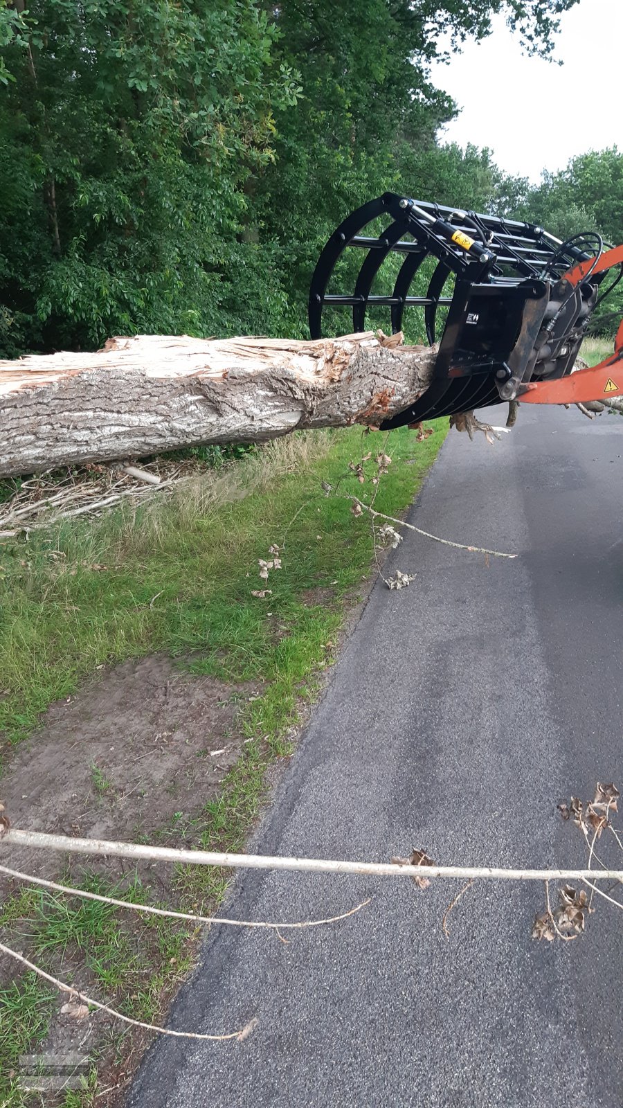 Sonstige Forsttechnik of the type Sonstige Reisiggabel Räumfix Reisigrechen, Neumaschine in Beesten (Picture 3)