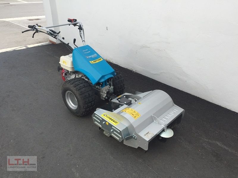 Motormäher of the type Bertolini B 103 mit Cerruti Schlegelmulcher, Neumaschine in Gnas (Picture 1)