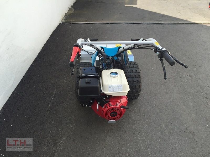 Motormäher of the type Bertolini B 103 mit Cerruti Schlegelmulcher, Neumaschine in Gnas (Picture 4)