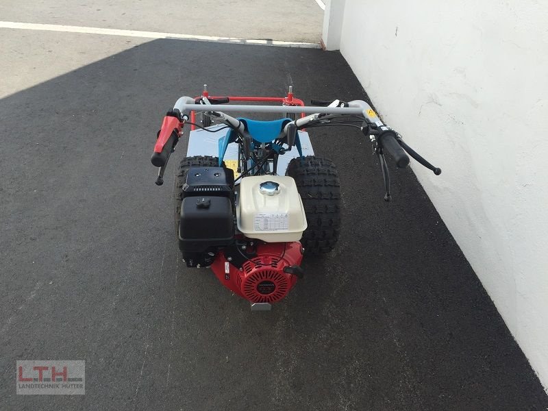 Motormäher tip Bertolini B 103 mit Cerruti Sichelmulcher, Neumaschine in Gnas (Poză 6)