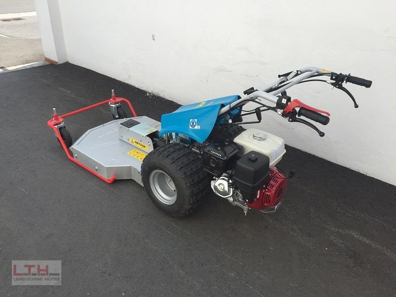Motormäher tip Bertolini B 103 mit Cerruti Sichelmulcher, Neumaschine in Gnas (Poză 5)