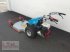 Motormäher tip Bertolini B 103 mit Cerruti Sichelmulcher, Neumaschine in Gnas (Poză 5)