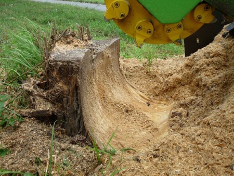 Stockfräse typu laski F 500H/38, Gebrauchtmaschine v Vrå (Obrázek 3)