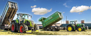 Trentmann Systemberatung GmbH