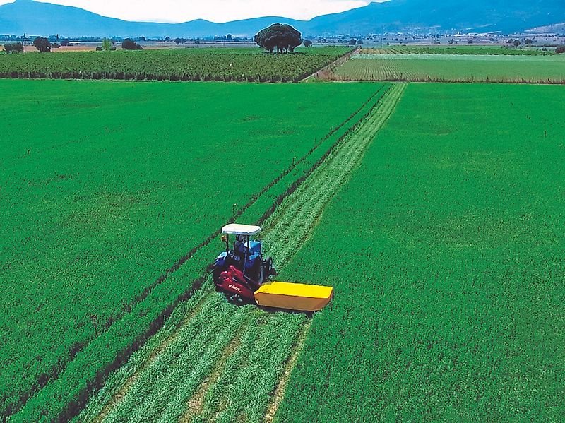 Mähwerk του τύπου Minos Agri Scheibenmähwerk T-DCBM 5, Neumaschine σε Münstermaifeld (Φωτογραφία 14)