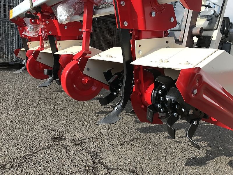 Bodenfräse van het type Minos Agri Reihenfräse T-SCM-5-A, Neumaschine in Münstermaifeld (Foto 15)