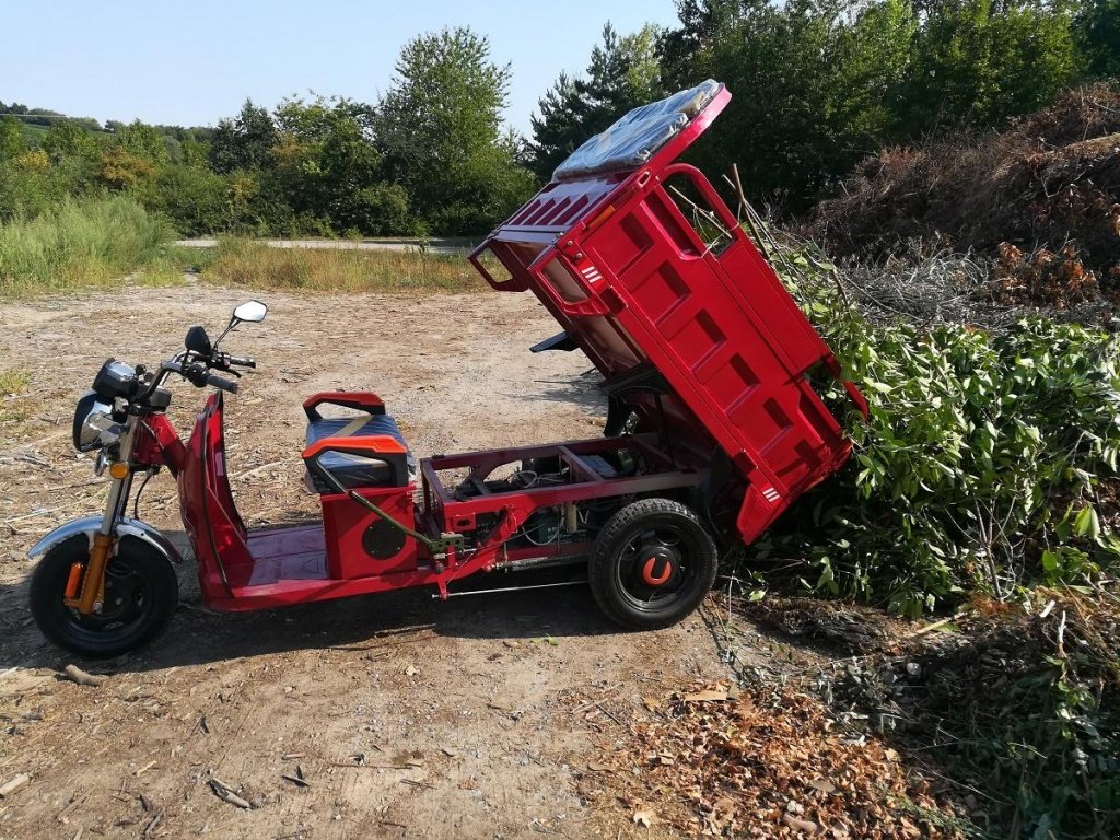 Gator του τύπου Cargo Runner Elektro Lastendreirad, Neumaschine σε Sommerach (Φωτογραφία 1)