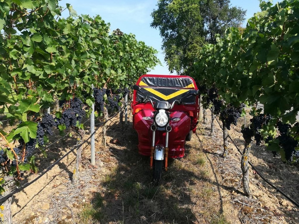 Gator του τύπου Cargo Runner Elektro Lastendreirad, Neumaschine σε Sommerach (Φωτογραφία 22)