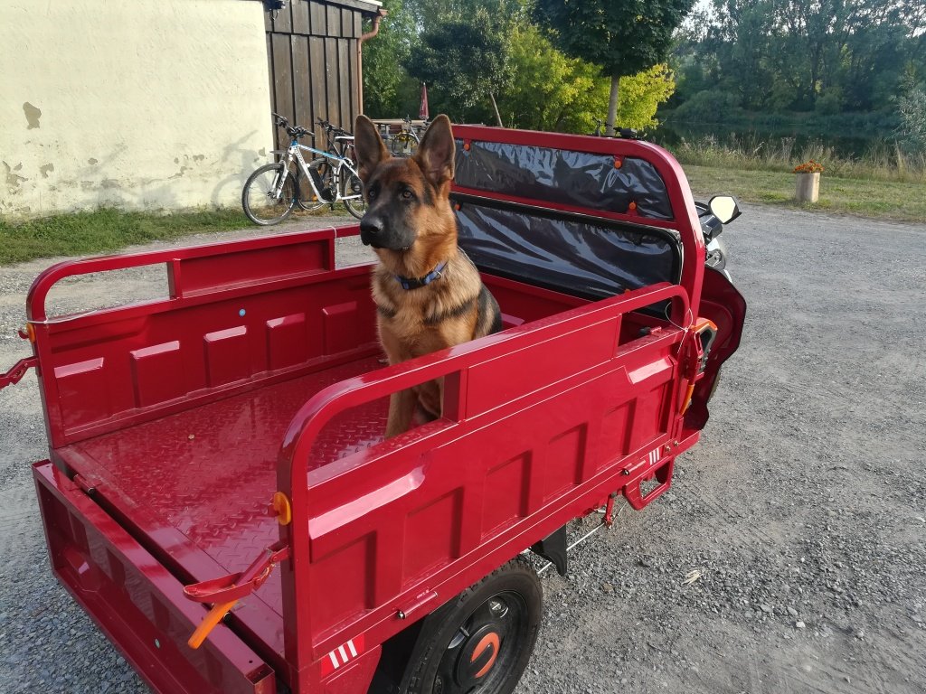 Gator του τύπου Cargo Runner Elektro Lastendreirad, Neumaschine σε Sommerach (Φωτογραφία 26)
