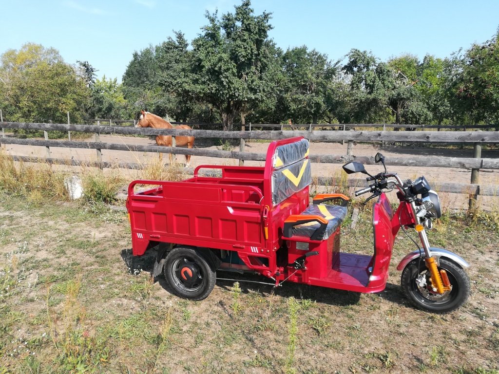Gator tipa Cargo Runner Elektro Lastendreirad, Neumaschine u Sommerach (Slika 23)