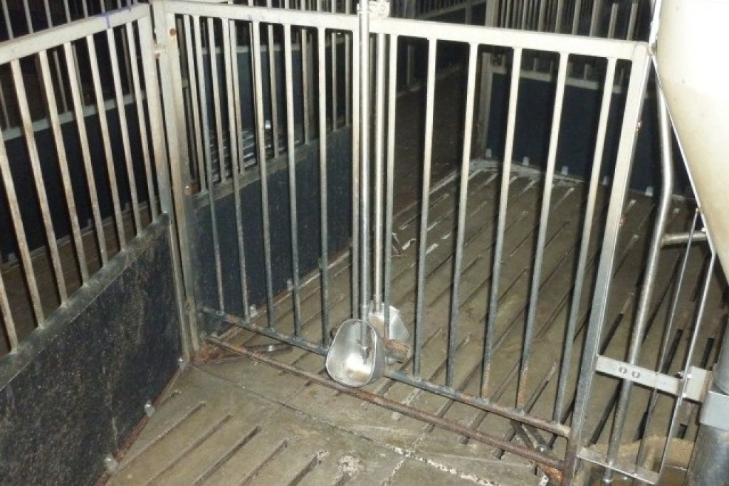 Aufstallung типа Sonstige Drikkekar til slagtesvin, Gebrauchtmaschine в Egtved (Фотография 1)