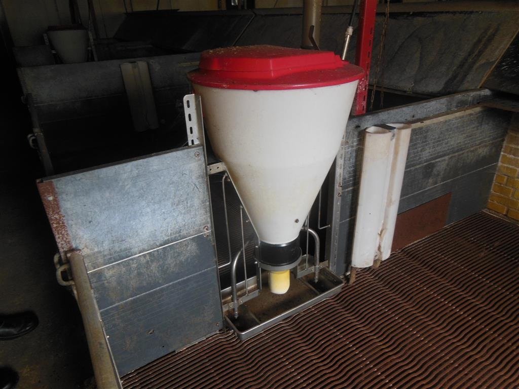 Sonstiges του τύπου Egebjerg Ca. 16 stk., Gebrauchtmaschine σε Egtved (Φωτογραφία 2)