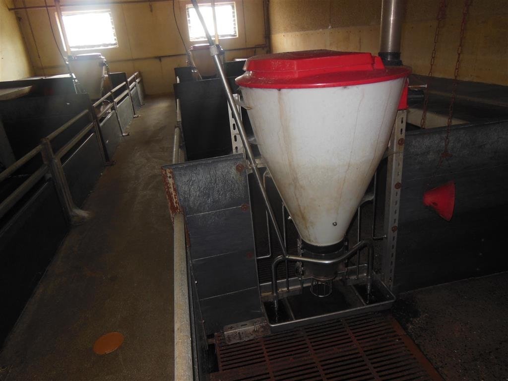 Sonstiges του τύπου Egebjerg Ca. 16 stk., Gebrauchtmaschine σε Egtved (Φωτογραφία 4)