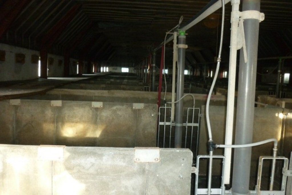 Sonstiges типа Sonstige 40 slagtesvinstier beton, Gebrauchtmaschine в Egtved (Фотография 1)