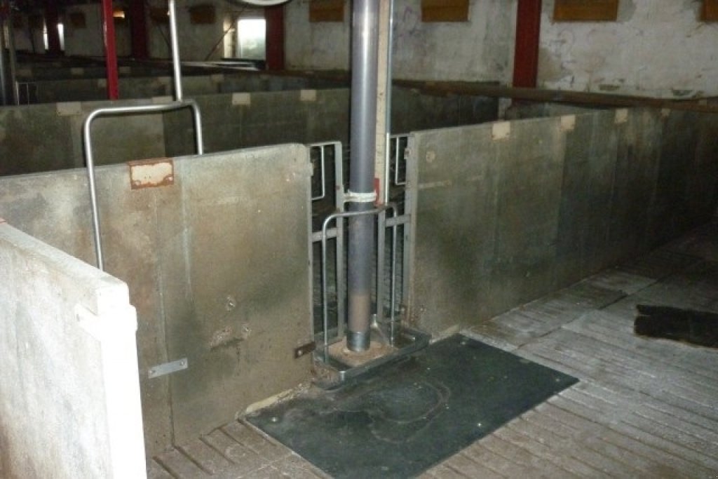 Sonstiges типа Sonstige 40 slagtesvinstier beton, Gebrauchtmaschine в Egtved (Фотография 2)