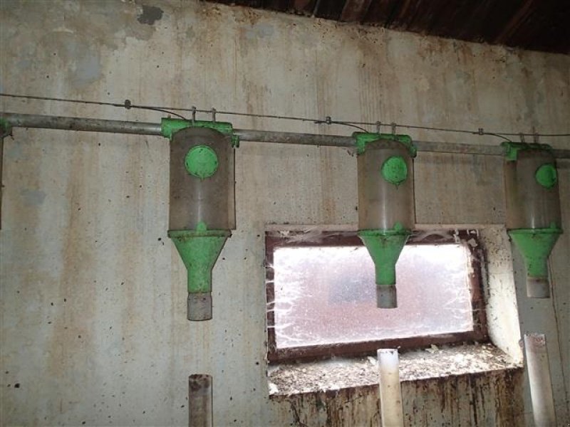 Sonstiges tipa Sonstige Rørfodringsautomater, 10L, Gebrauchtmaschine u Egtved (Slika 1)