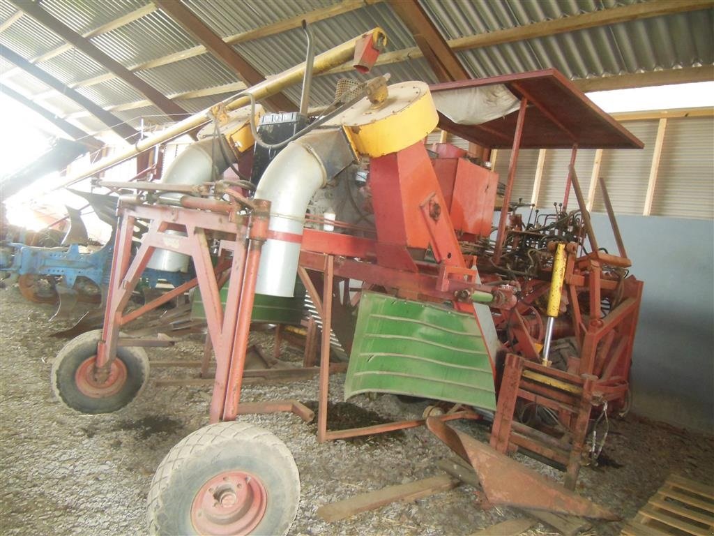 Traubenvollernter tipa Sonstige AVNSLEV solbærhøster, Gebrauchtmaschine u Egtved (Slika 2)