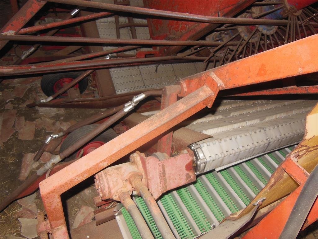 Traubenvollernter tipa Sonstige AVNSLEV solbærhøster, Gebrauchtmaschine u Egtved (Slika 4)