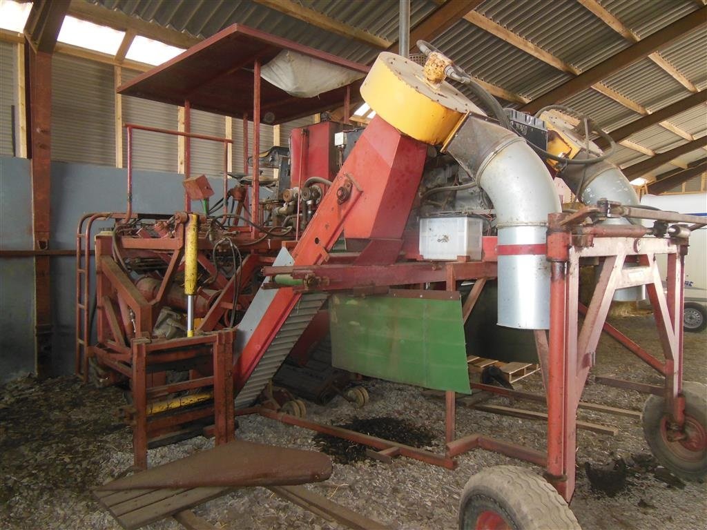 Traubenvollernter tipa Sonstige AVNSLEV solbærhøster, Gebrauchtmaschine u Egtved (Slika 3)