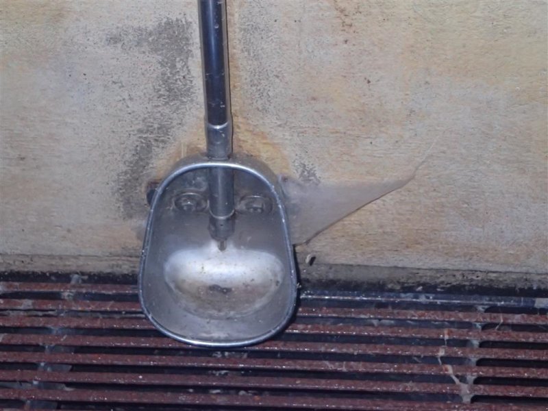 Aufstallung vrste Sonstige Drikke kopper til smågrise, Gebrauchtmaschine v Egtved (Slika 1)