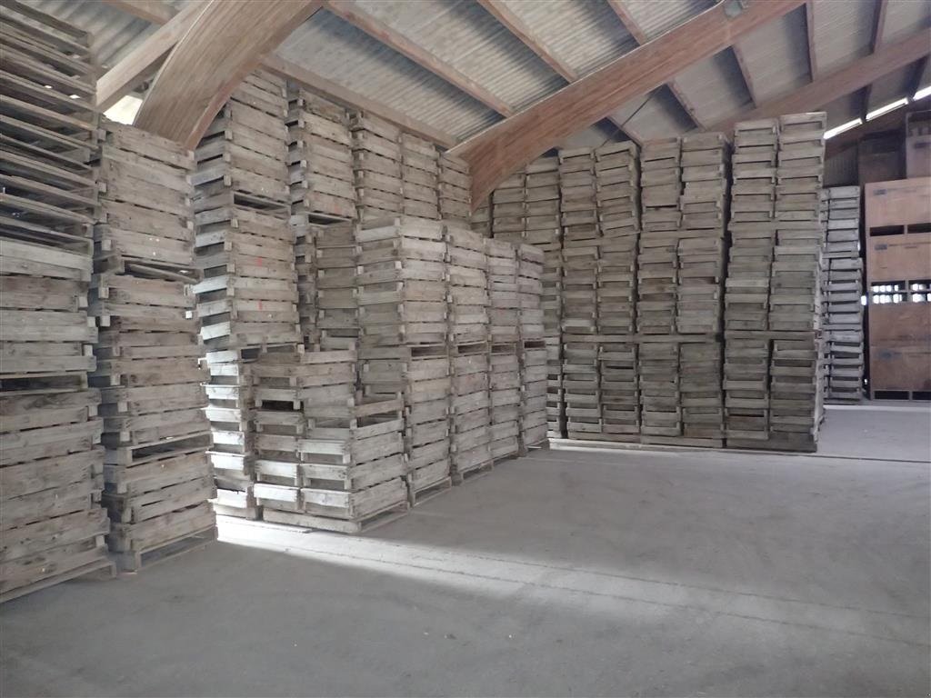 Sonstige Kartoffeltechnik van het type Sonstige Løgkasser m/trådbund, Gebrauchtmaschine in Egtved (Foto 3)