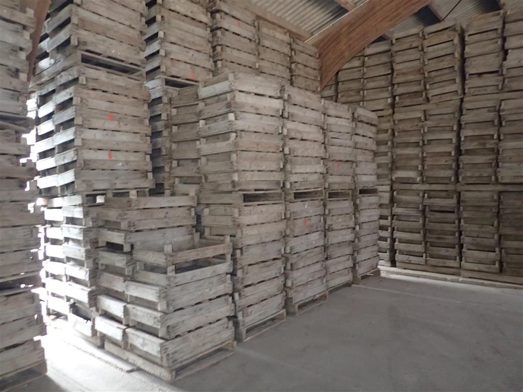 Sonstige Kartoffeltechnik van het type Sonstige Løgkasser m/trådbund, Gebrauchtmaschine in Egtved (Foto 2)