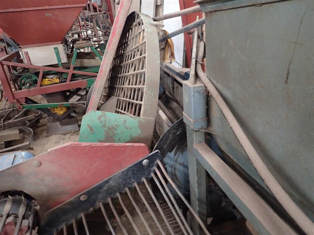 Sonstiges of the type Sonstige Tulipanaftopper, Koningskopper, Gebrauchtmaschine in Egtved (Picture 4)