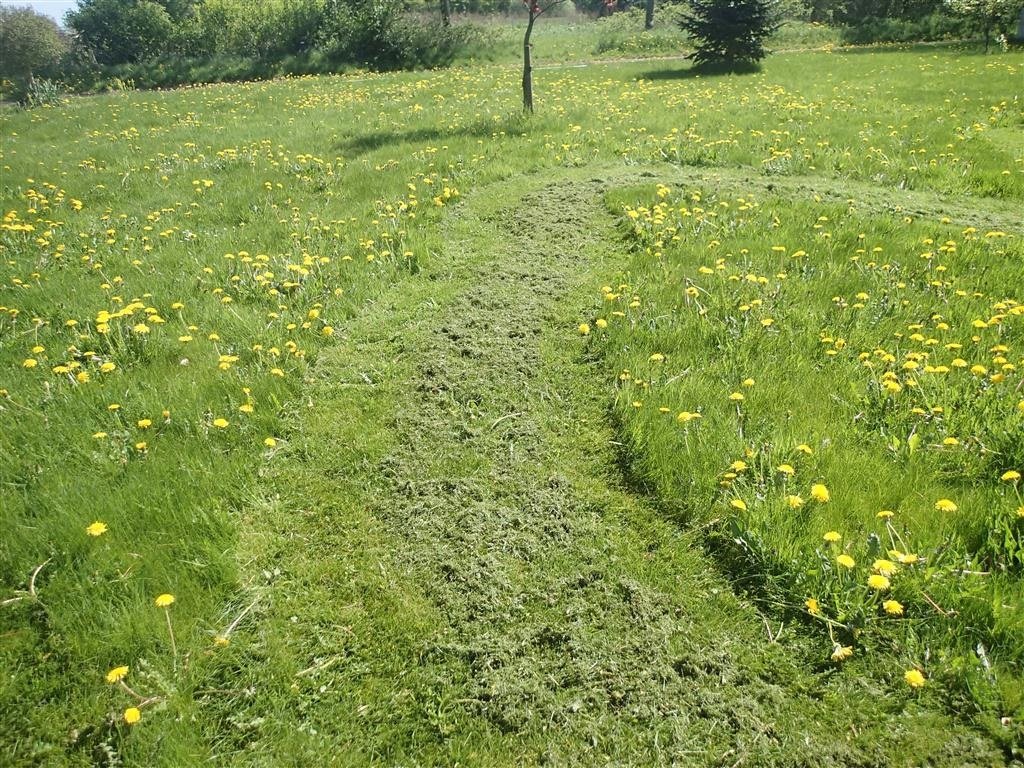 Rasentraktor a típus Snapper ZTX 275, Gebrauchtmaschine ekkor: Egtved (Kép 14)