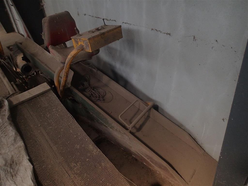 Sonstige Kartoffeltechnik des Typs Sonstige Kartoffeltransportør, 3 m, Gebrauchtmaschine in Egtved (Bild 6)