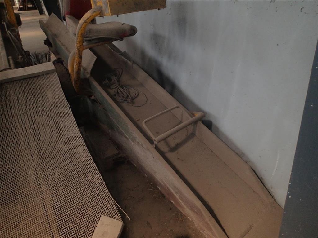 Sonstige Kartoffeltechnik des Typs Sonstige Kartoffeltransportør, 3 m, Gebrauchtmaschine in Egtved (Bild 5)