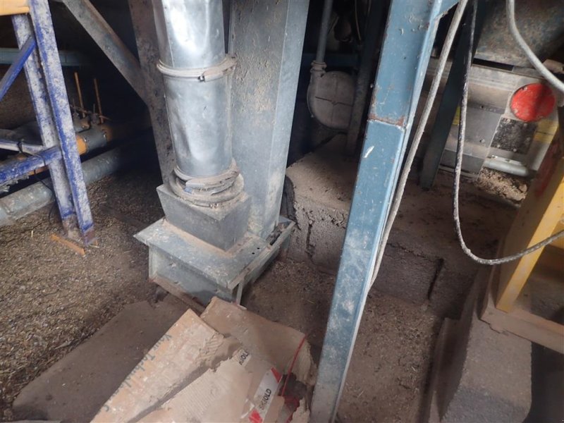 Sonstige Getreidelagertechnik del tipo Sonstige T 20 elevator ca. 6 meter, Gebrauchtmaschine In Egtved (Immagine 1)