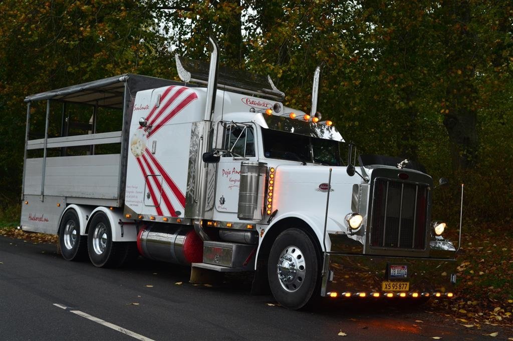 LKW of the type Sonstige peterbilt 379, Gebrauchtmaschine in Kongerslev (Picture 2)