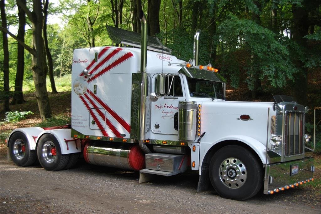 LKW of the type Sonstige peterbilt 379, Gebrauchtmaschine in Kongerslev (Picture 1)