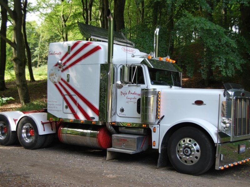 LKW of the type Sonstige peterbilt 379, Gebrauchtmaschine in Kongerslev (Picture 1)