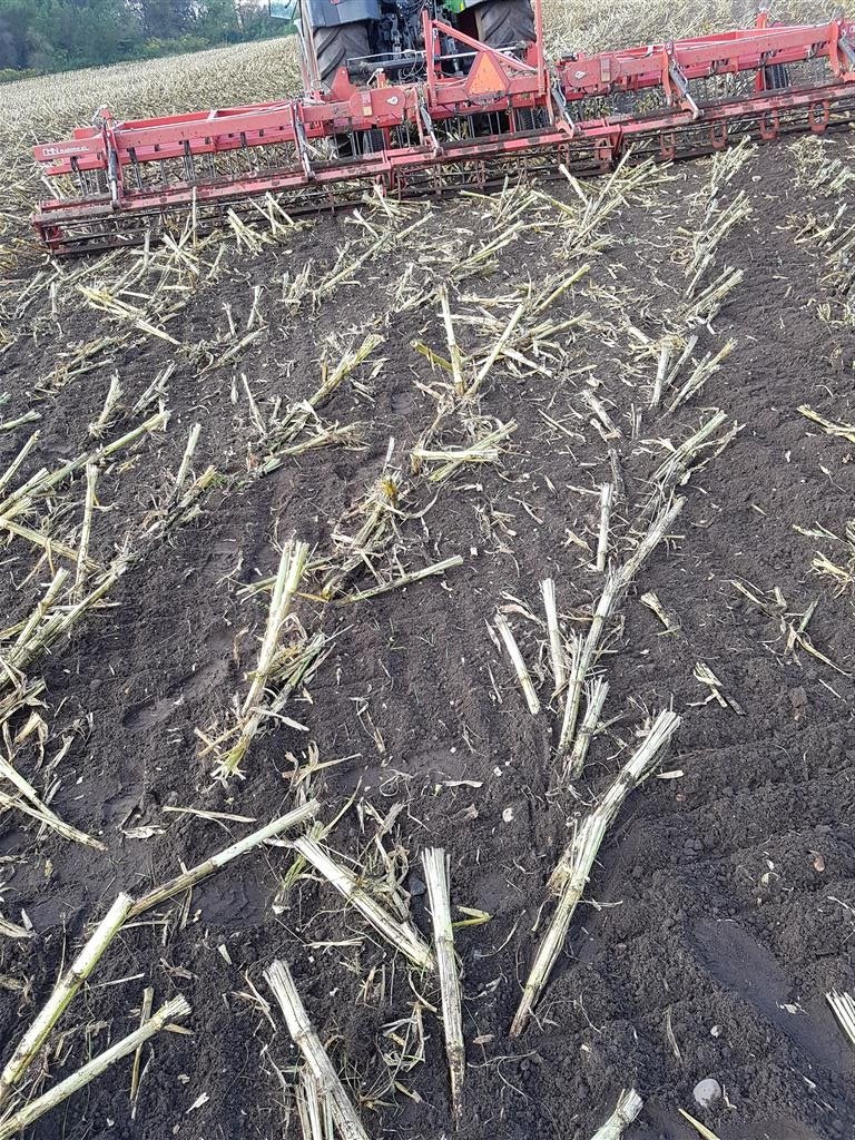 Egge типа Sonstige HSV Kan udstyres med såmaskine, Gebrauchtmaschine в Thyholm (Фотография 6)