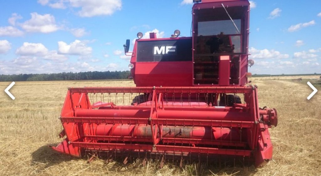 Oldtimer-Mähdrescher типа Massey Ferguson 440, Neumaschine в Торчин (Фотография 1)