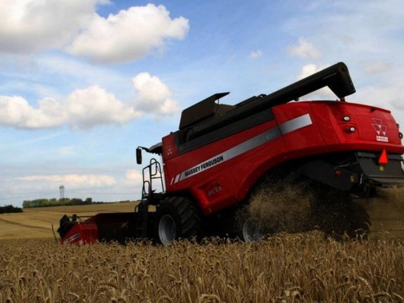 Oldtimer-Mähdrescher of the type Massey Ferguson Beta 7370,  in Луцьк (Picture 1)