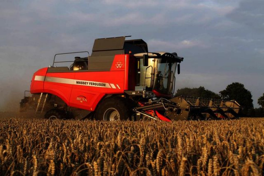 Oldtimer-Mähdrescher типа Massey Ferguson Beta 7370,  в Луцьк (Фотография 2)