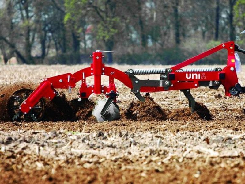 Kartoffelpflegetechnik of the type Unia Kos,  in Луцьк (Picture 1)